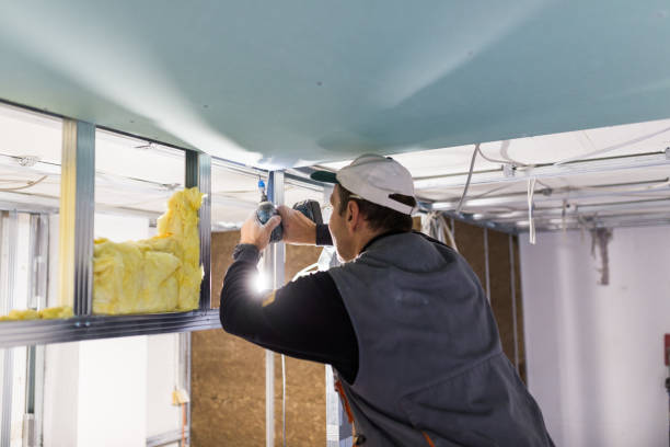 Best Cellulose Insulation in Millersburg, PA